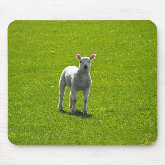 Little Lamb Mouse Pad (Front)