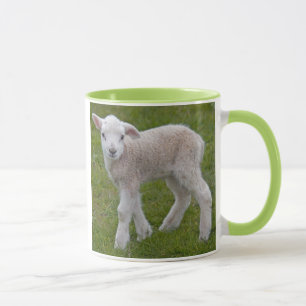Little Lamb Mug