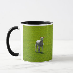 Little Lamb Mug