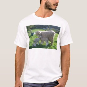 LITTLE LAMB T-Shirt