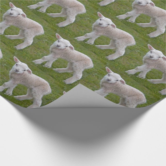 Little Lamb Wrapping Paper (Corner)