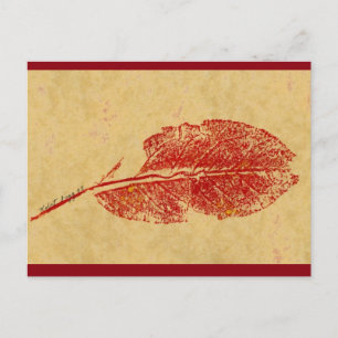 "Little Leaf" Country Roads Postcard