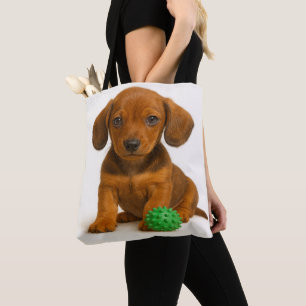 Little Legs, Big Toy – Dachshund Pup Tote Bag