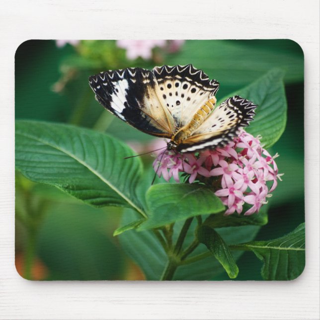 Little Leopard Wings Mousepad (Front)
