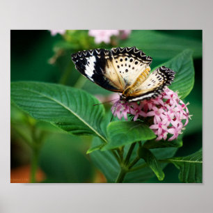 Little Leopard Wings Print
