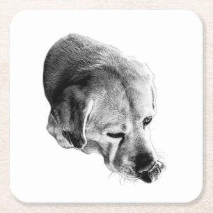 Little Lick, Big Personality Square Paper Coaster