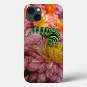 Little Lost Caterpillar  iPad Case *Personalise*