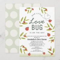 Little Love Bug Ladybug Baby Shower by Mail