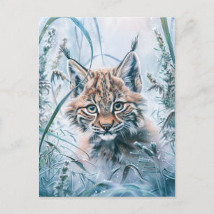 Little Lynx Bobcat in Snowy Forest Postcard