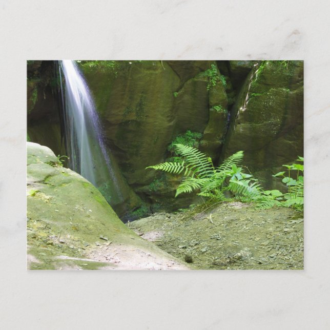 Little Lyons Falls, Mohican State Park, Ohio Postcard (Front)