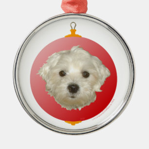 Little Maltese Christmas Ornament