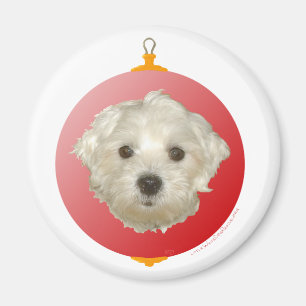 Little Maltese Christmas Ornament Magnet