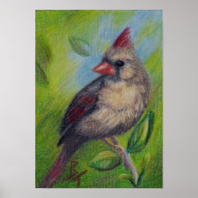 Little Miss Cardinal aceo Poster Print (Front)