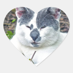 Little Mister Pants Heart Sticker