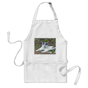 Little Mister Pants Standard Apron