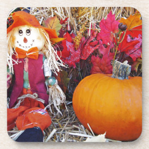 Little Mister Scarecrow Coaster