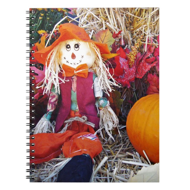 Little Mister Scarecrow Notebook (Front)