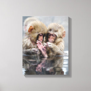 Little Monkeys Hot Springs, Japan Canvas Print