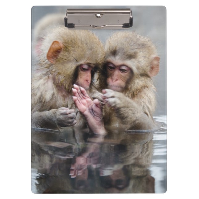 Little Monkeys | Hot Springs, Japan Clipboard (Front)