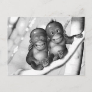 Little Monkeys Postcard