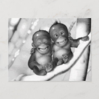 Little Monkeys Postcard
