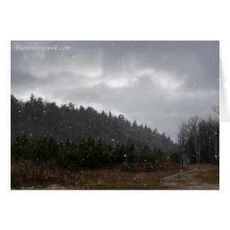 Little Mountain Shack