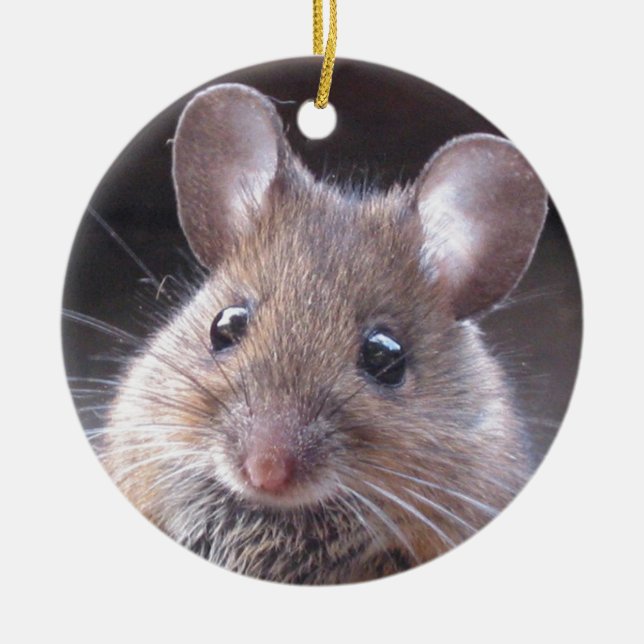Little Mouse Ornament (Front)