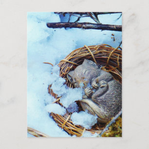 Little mouse sleeping in the snow postcard