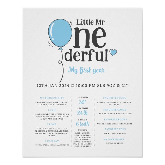 Little Mr Onederful First Bday Milestone Poster (Front)