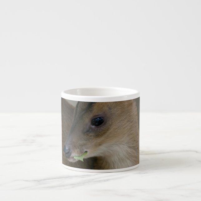 Little Muntjac Espresso Cup (Front)
