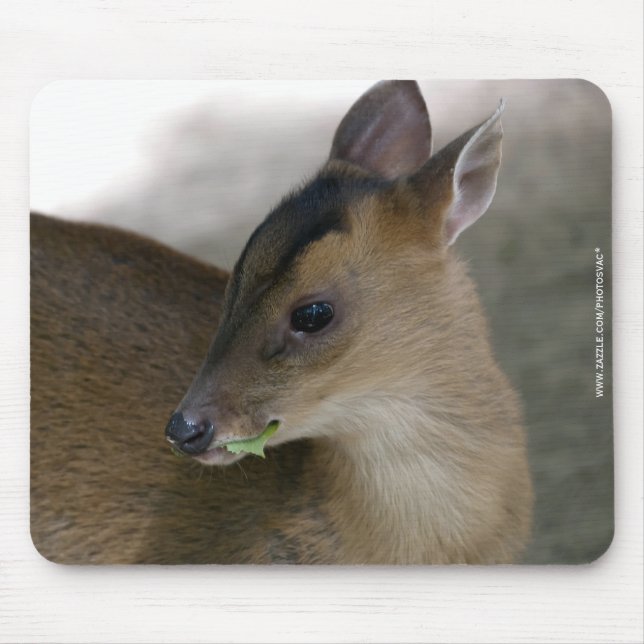 Little Muntjac Mouse Pad (Front)