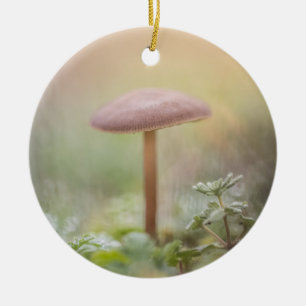 Little Mushroom nature photo Ceramic Ornament