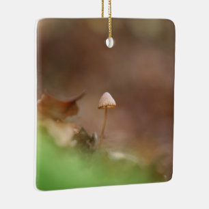 Little Mushroom nature photo Ceramic Ornament