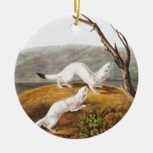 Little Nimble Weasel Putorius agilis Illustration Ceramic Ornament