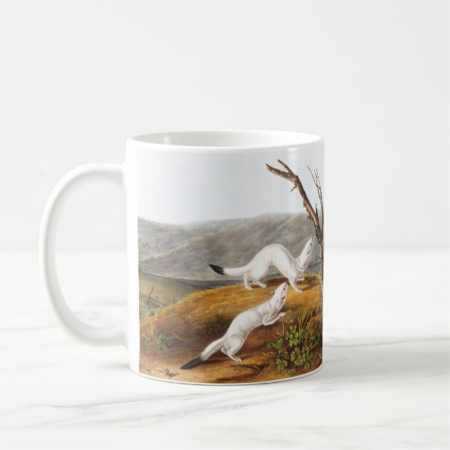 Little Nimble Weasel Putorius agilis Illustration Coffee Mug (Left)