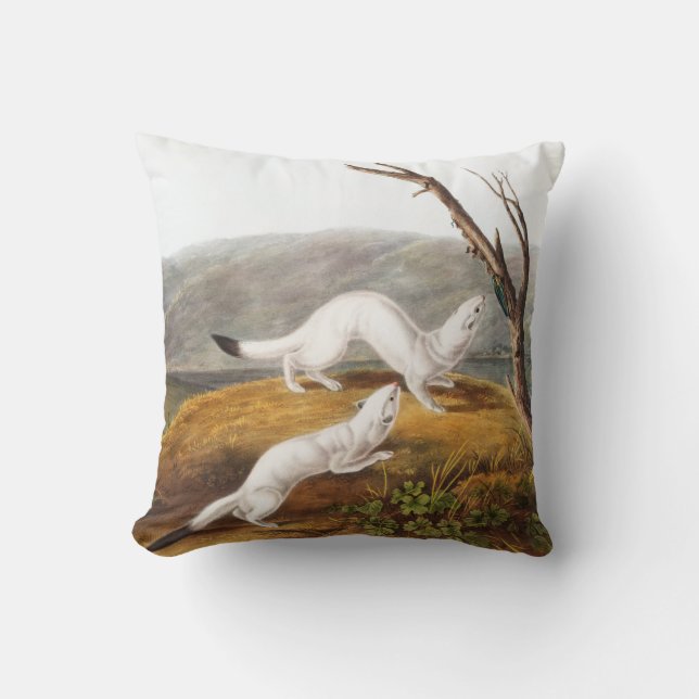 Little Nimble Weasel Putorius agilis Illustration Cushion (Front)