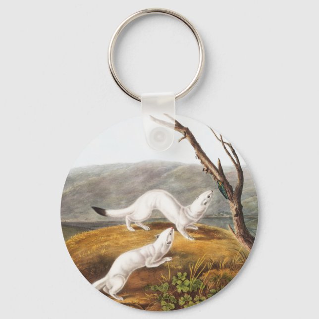 Little Nimble Weasel Putorius agilis Illustration Key Ring (Front)