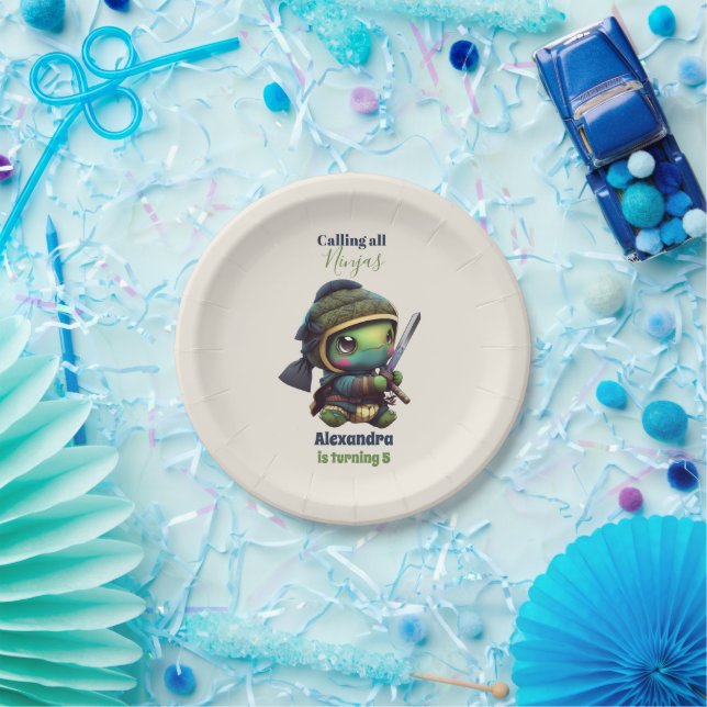 Little Ninja Turtle Kids Birthday Paper Plate (Party)