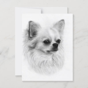 Little Observer - Hand Painted Chihuahua Portrait Postcard