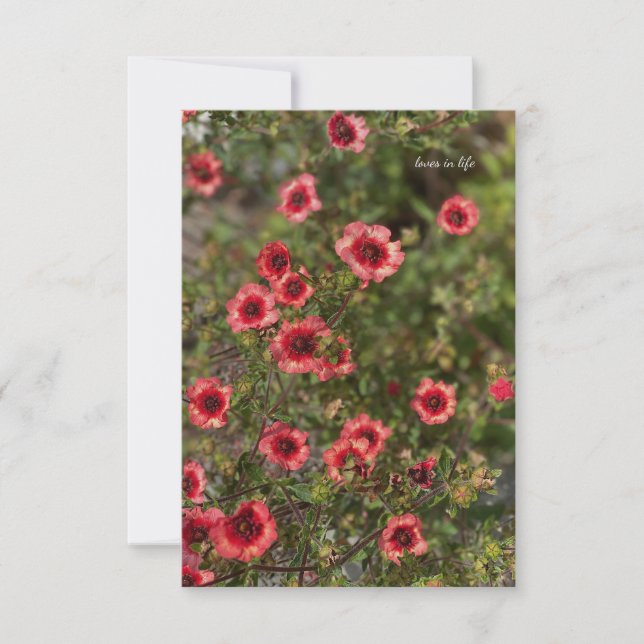 Little Orange Flowers Card (Front)