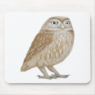 Little Owl 2011 Mouse Pad