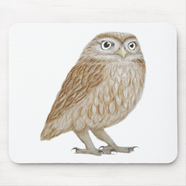 Little Owl 2011 Mouse Pad (Front)