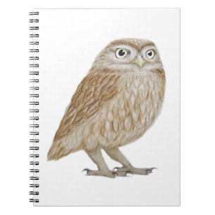 Little Owl 2011 Notebook
