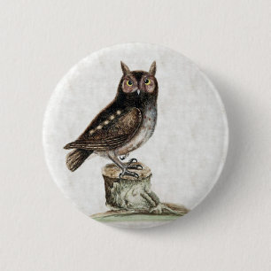 Little Owl 6 Cm Round Badge