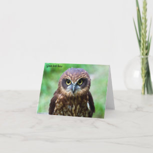 Little Owl Card