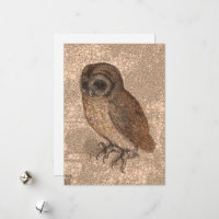 Little Owl, Infinity Dots by After Albrecht Durer