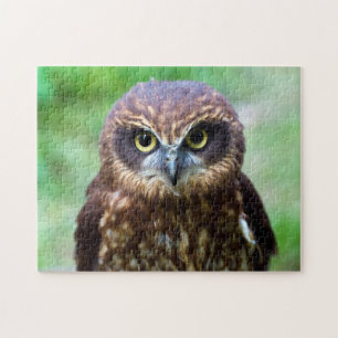 Little Owl Jigsaw Puzzle