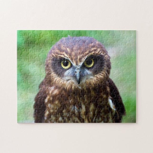 Little Owl Jigsaw Puzzle (Horizontal)