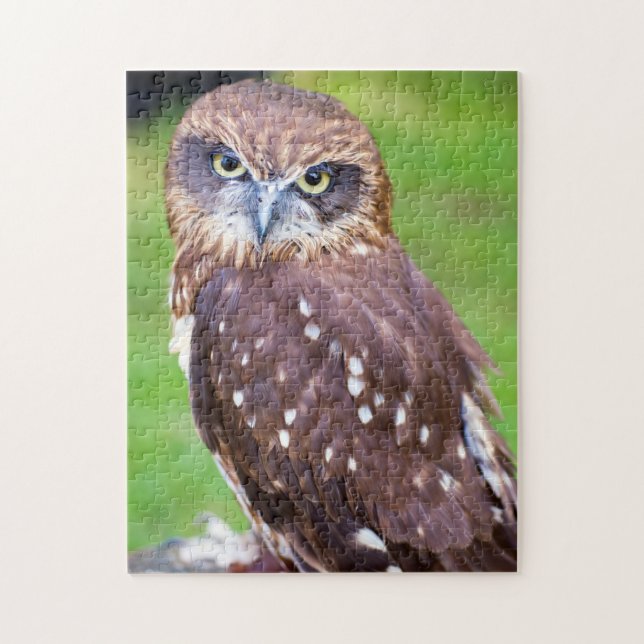 Little Owl Jigsaw puzzle (Vertical)