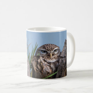 Little owl perched on at tree trunk coffee mug